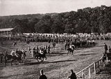 Seaton Park Racecourse, 1928