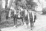 Portrait of farm worker on country road with pair of horses, Denhead Farm, Dunlugas, near Banff