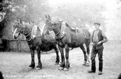 Portrait of male farm hand with a pair of plough horses
