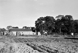 Beech-hill Farm