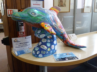 A School of Dolphins: Aberfin at Central Library