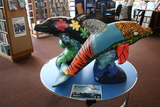 A School of Dolphins: Endangered Don the Dolphin at Airyhall Library