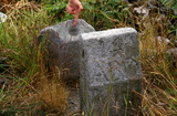 March Stone 14 (plus cup stone) (colour)
