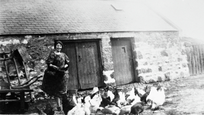 Female farm worker feeding hens